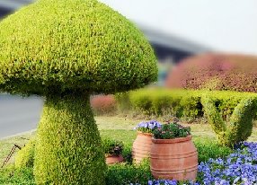 蘑菇仿真绿雕