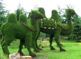 骆驼绿雕