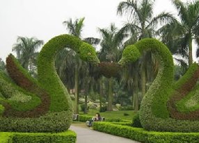 天鹅五色草造型拱门绿雕