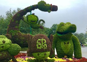 疯狂动物城绿雕立体花坛