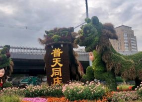 城市广场春节绿雕舞狮五色草造型