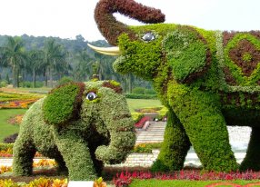 子母大象绿雕