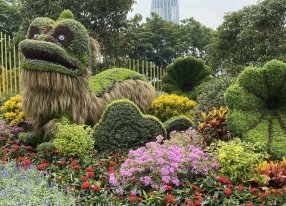 国庆节舞狮主题绿雕立体花坛