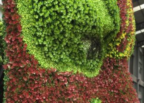 脸谱仿真绿雕立体花坛植物雕塑